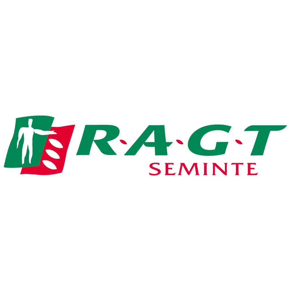 RAGT-seminte